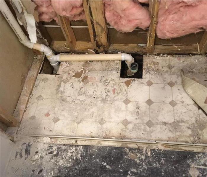 Photo of drain lines and mold after bathtub was removed